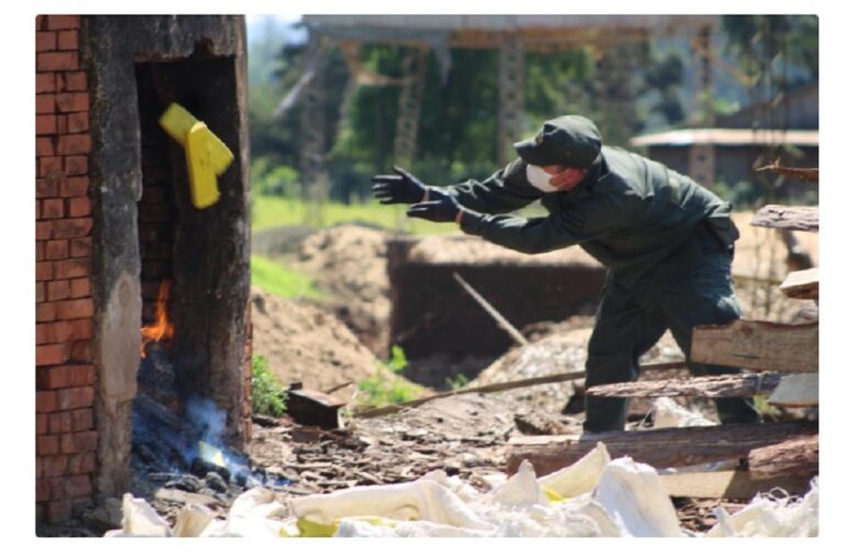 Incineraron más de 4.700 kilos de marihuana y ketamina en un aserradero de Garuhapé