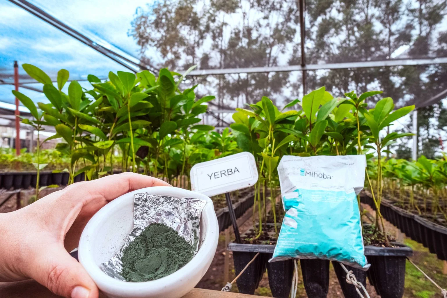 Biofábrica Misiones repartió 1.500 unidades de Mihoba para apoyar la…