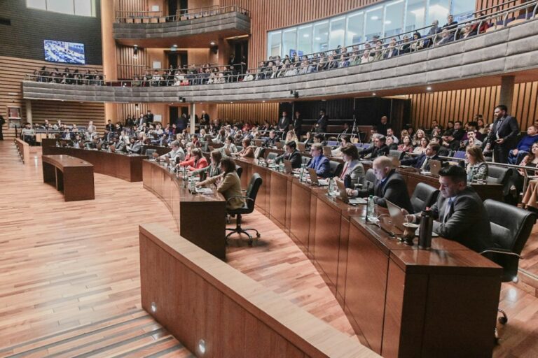 El bloque Movimiento por lo que Viene quedó como primera minoría en una Legislatura dividida…