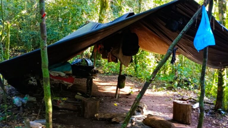 Guardaparques desmantelaron cebaderos y campamentos de caza furtiva en la Biosfera Yabotí