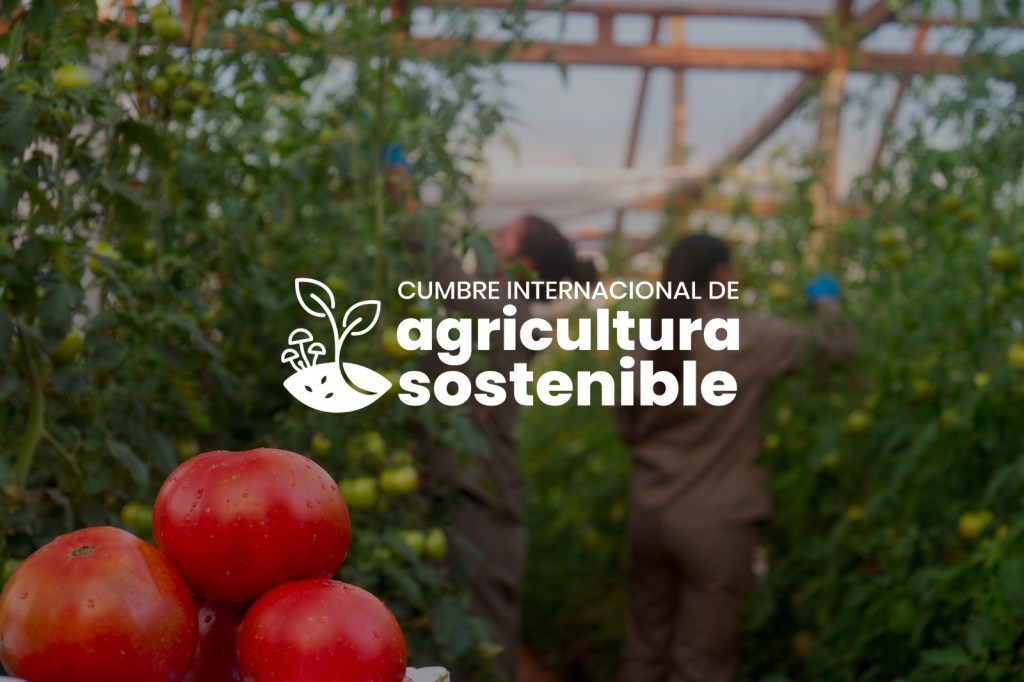 Posadas será sede de la segunda Cumbre Internacional de Agricultura…