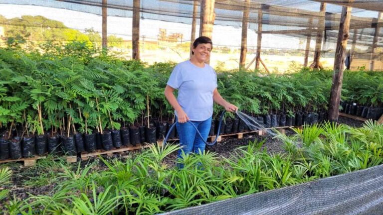 El Jardín Botánico de Posadas fue reconocido como productor nacional de semillas nativas