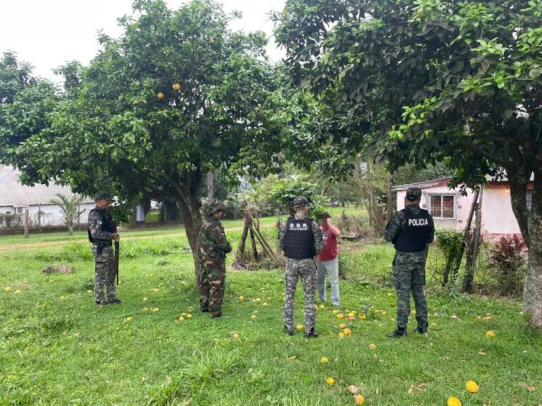 Cámaras, drones y patrullas coordinadas: cómo opera el sistema de prevención policial en los 79…
