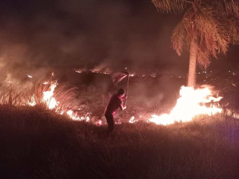 Un incendio de malezas quemó diez hectáreas en Posadas tras un operativo de más de…