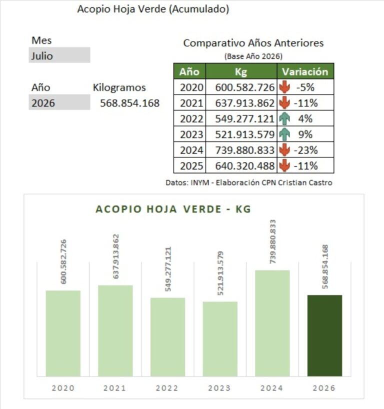 La cosecha de yerba cayó 11% y ya acumula 71 millones de kilos menos que…