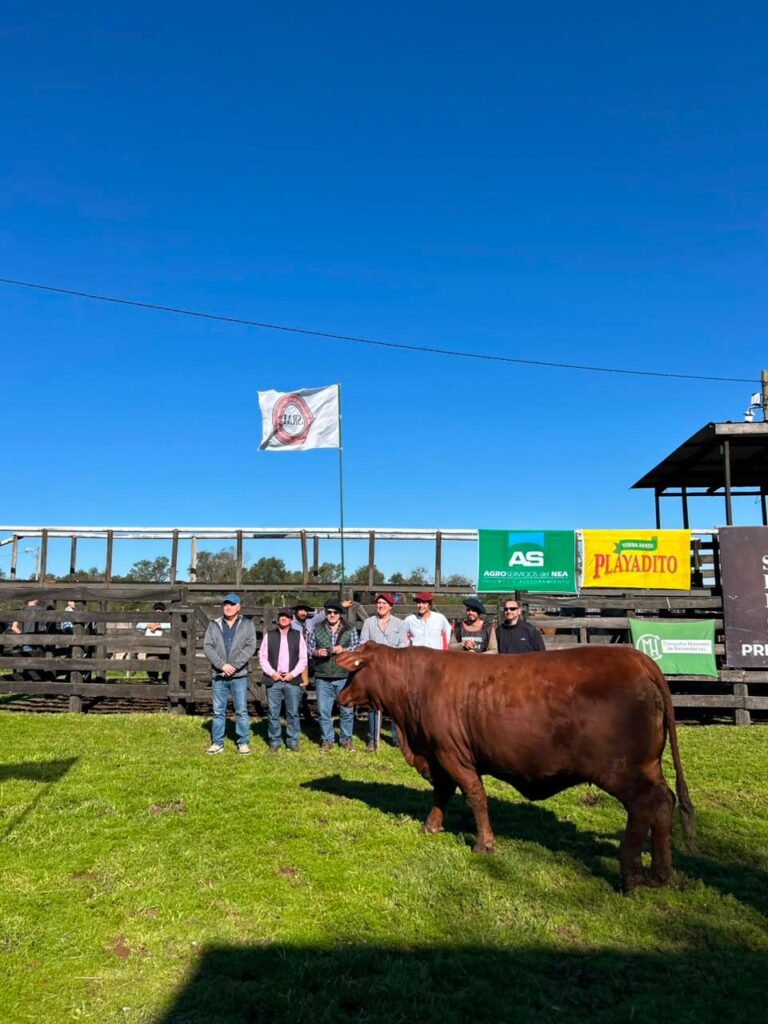 La Expo Rural de Fachinal cerró con precios sólidos en…