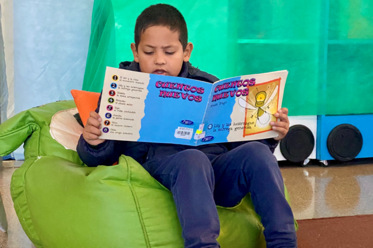 La Biblioteca Pública de las Misiones lanza actividades de lectura para el Nivel Inicial en…