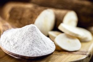 INTA trabaja para que la mandioca misionera llegue fresca al…