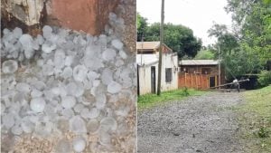 El temporal de la madrugada dejó a unas 20 familias damnificadas en el sur de…