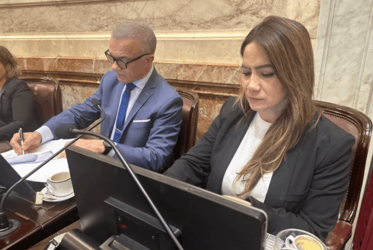 Legisladores misioneros con agenda cargada en el Congreso: mercados de carbono, biocombustibles, mandioca y un…