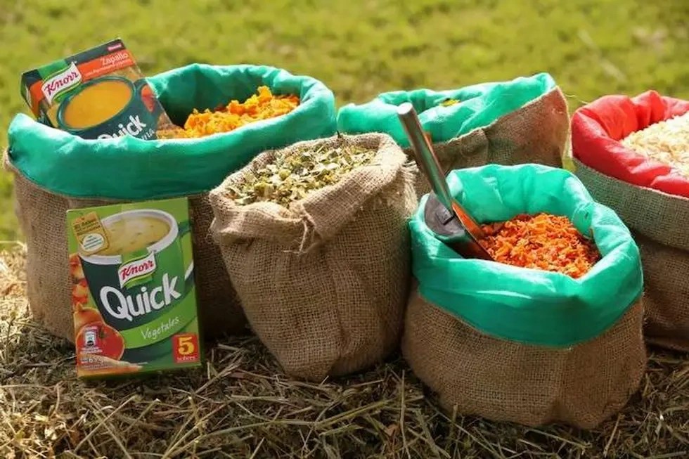 Unilever cierra su planta de Mendoza y elimina 60 empleos: era la única deshidratadora de vegetales de la empresa en el mundo