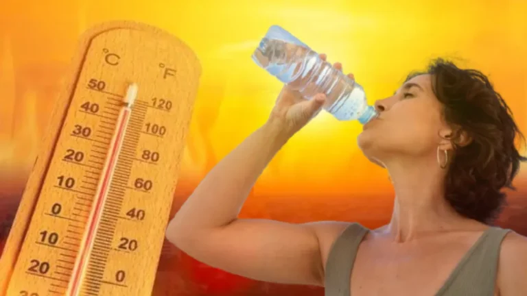 Fin de semana frío en Misiones: heladas posibles y temperaturas mínimas de hasta 4°C