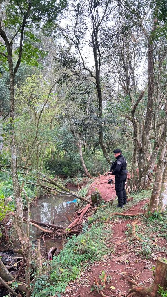 Operativo trinacional en fronteras: más de 5.000 identificados y 30 vehículos retenidos en la primera…