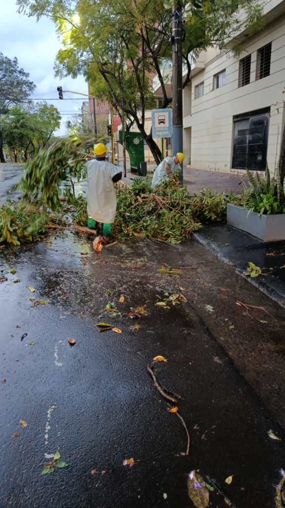 Posadas despliega cuadrillas para limpiar calles tras la tormenta del sábado