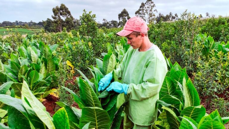 Viviendas con techo de cartón cayeron del 33% al 5% en una década entre las…