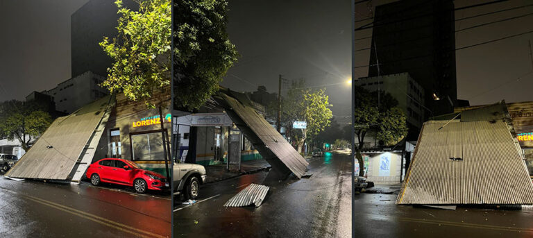 Tormenta de Santa Rosa golpeó a Posadas: granizo, árboles caídos y viviendas afectadas