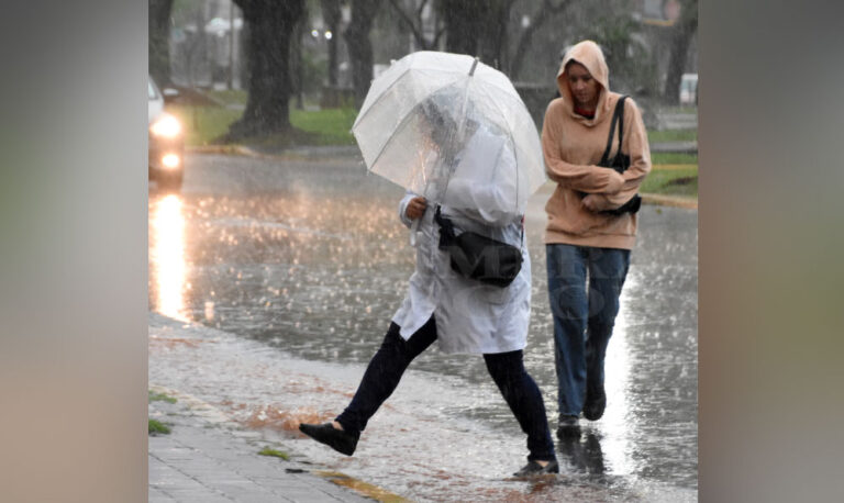 La tormenta de Santa Rosa llegará a Misiones este sábado con lluvias intensas y posible…