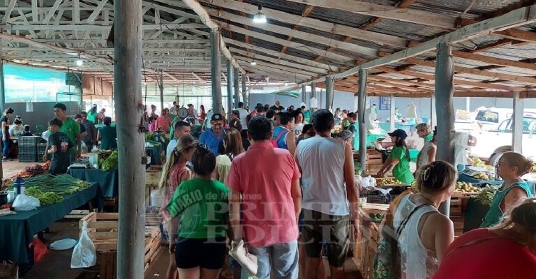 Tres décadas de ferias francas: 74 mercados y 3.000 familias productoras en toda Misiones