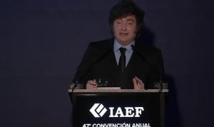 Milei ratificó su plan económico ante empresarios en Iguazú y prometió «redoblar la ortodoxia» para…