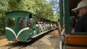 Puerto Iguazú recibe el 21° Congreso Latinrieles con el Tren Ecológico de la Selva como…