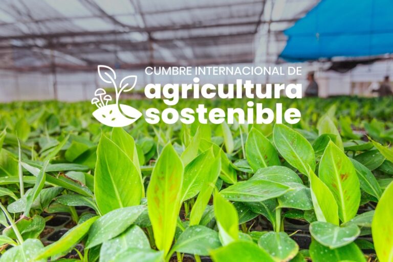 Posadas será sede de la 2° Cumbre Internacional de Agricultura Sostenible con participantes de cuatro…