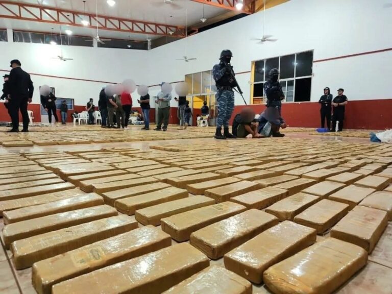 Ocho meses de operativos: la Policía de Misiones decomisó 14 toneladas de marihuana y desarticuló…
