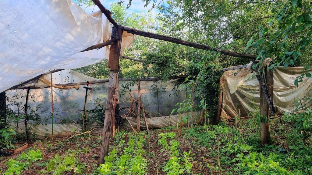 Una granizada destruyó el vivero de una productora de Posadas,…