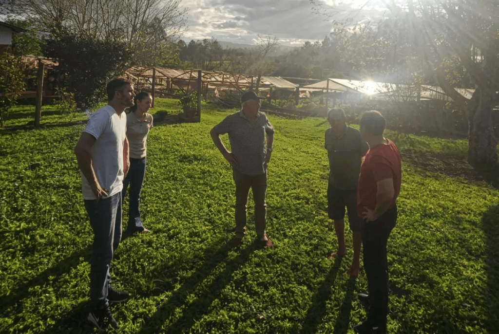 Más de 400 techos de invernáculos dañados en Misiones: la Provincia prepara microcréditos para los productores hortícolas