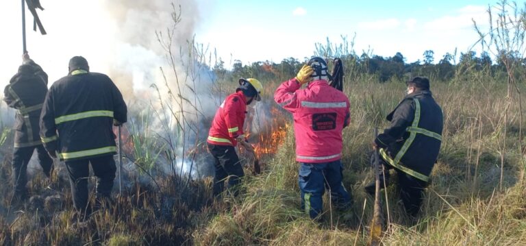 Múltiples incendios en Misiones afectaron casi 80 hectáreas durante el domingo
