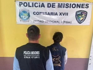 Detuvieron a un joven por el robo de dos laptops en una vivienda del barrio…