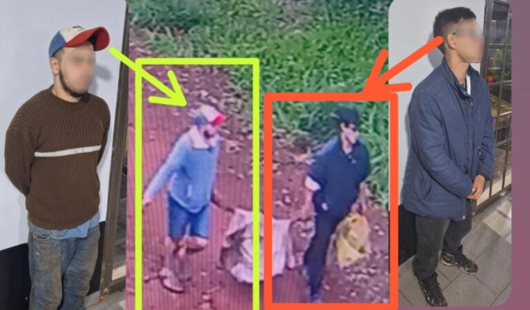 Detuvieron al segundo sospechoso de robar casi una tonelada de mandioca en una chacra de…