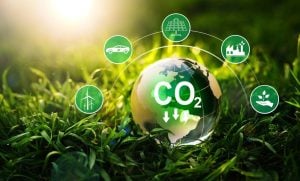 El programa de carbono de Misiones: más de 10 millones de créditos certificados y un…
