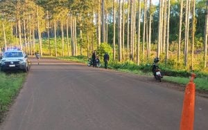 Murió un motociclista tras despistar en la Ruta Provincial 212 de Caraguatay