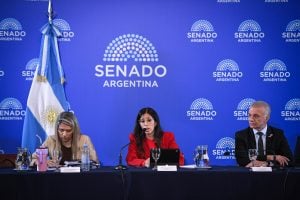 Arce acompañó la reforma a la Ley de Salud Mental pero reclamó financiamiento y coordinación&hellip;