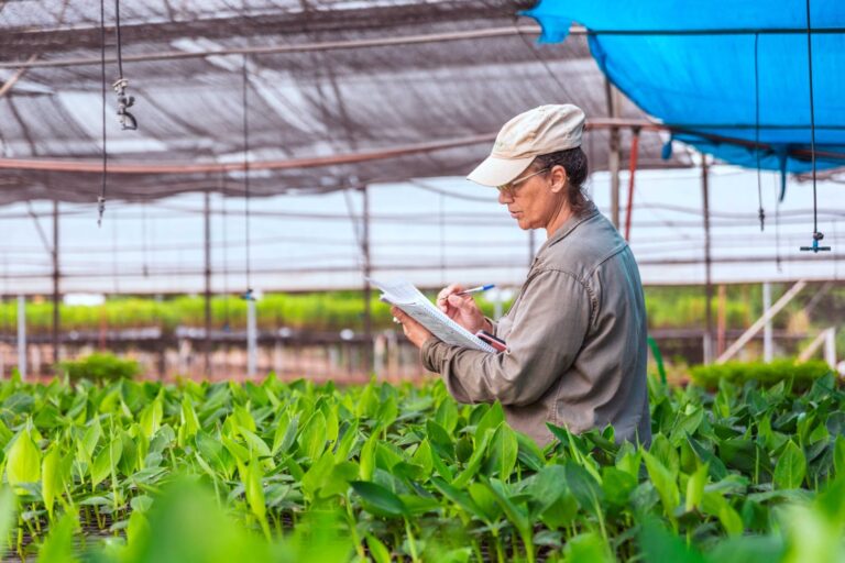 Biofábrica Misiones cumple 20 años como referente biotecnológico de la provincia